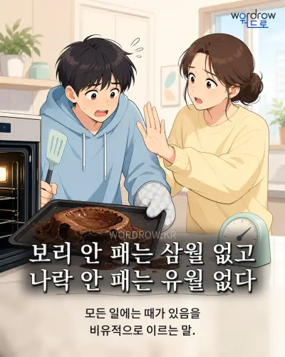 한국어 속담 “보리 안 패는 삼월 없고 나락 안 패는 유월 없다” 1컷 일러스트