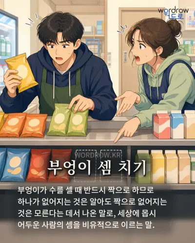 한국어 속담 “부엉이 셈 치기”를 한 장면으로 담은 1컷 일러스트