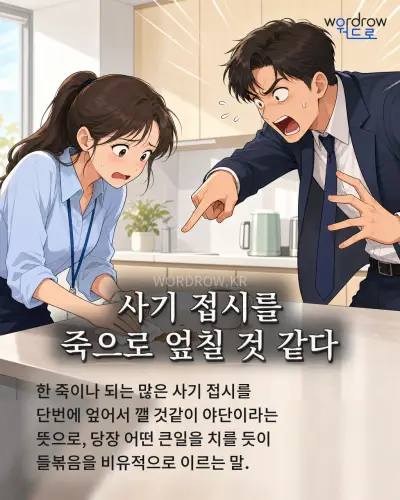 한국어 속담 “사기 접시를 죽으로 엎칠 것 같다” 1컷 일러스트