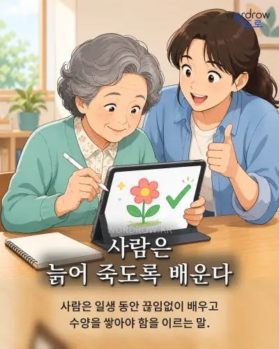 한국어 속담 “사람은 늙어 죽도록 배운다” 1컷 일러스트