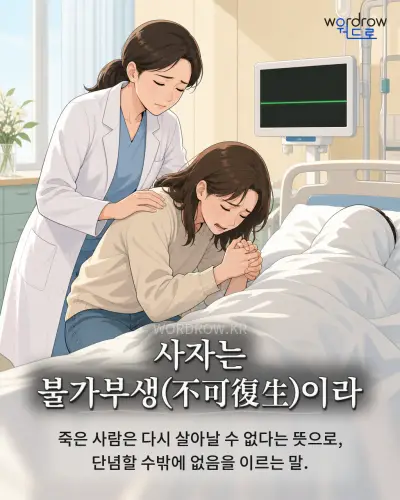 한국어 속담 “사자는 불가부생(不可復生)이라” 1컷 일러스트