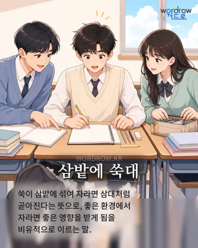 한국어 속담 “삼밭에 쑥대” 1컷 일러스트