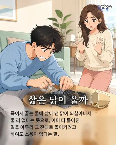 한국어 속담 “삶은 닭이 울까”를 한 장면으로 담은 1컷 일러스트