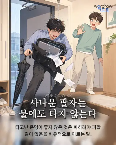 한국어 속담 “사나운 팔자는 불에도 타지 않는다” 1컷 일러스트