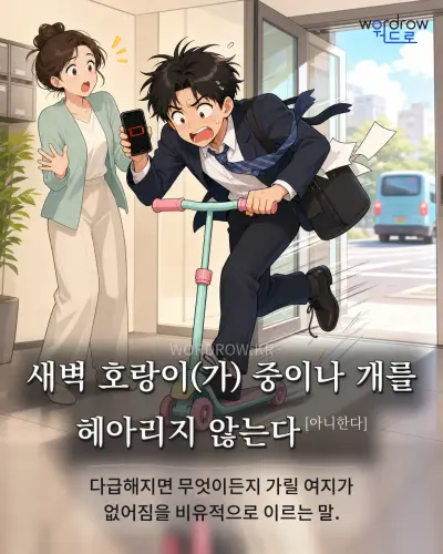 한국어 속담 “새벽 호랑이 중이나 개를 헤아리지 않는다” 1컷 일러스트