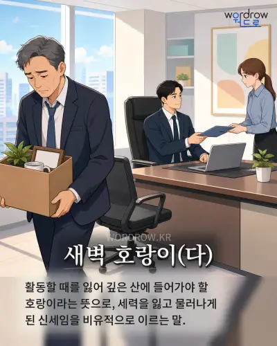 한국어 속담 “새벽 호랑이” 1컷 일러스트