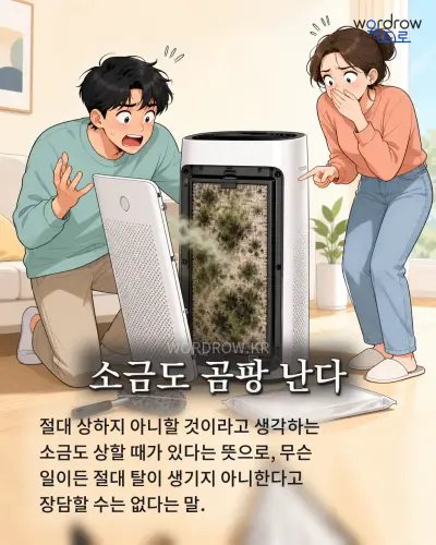한국어 속담 “소금도 곰팡 난다” 1컷 일러스트
