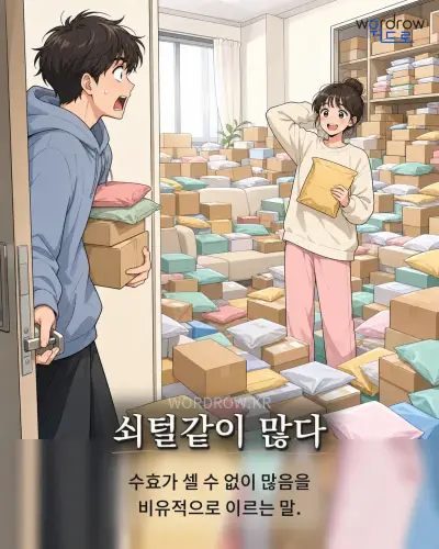 한국어 속담 “쇠털같이 많다” 1컷 일러스트
