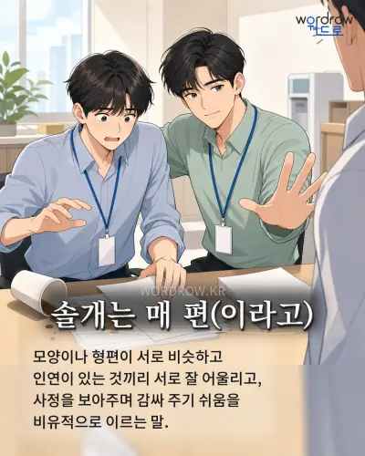 한국어 속담 “솔개는 매 편(이라고)” 1컷 일러스트