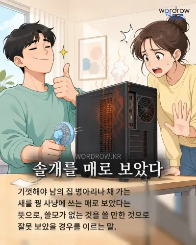 한국어 속담 “솔개를 매로 보았다” 1컷 일러스트