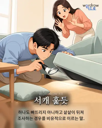 한국어 속담 “서캐 훑듯” 1컷 일러스트