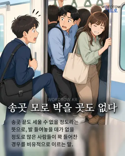 한국어 속담 “송곳 모로 박을 곳도 없다” 1컷 일러스트