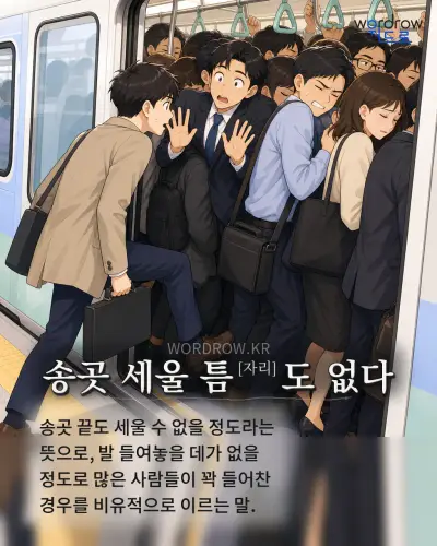 한국어 속담 “송곳 세울 틈[자리]도 없다” 1컷 일러스트