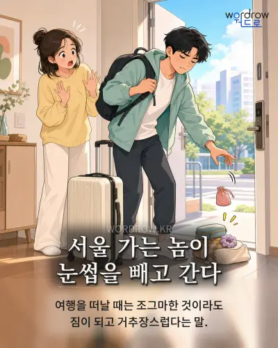 한국어 속담 “서울 가는 놈이 눈썹을 빼고 간다” 1컷 일러스트