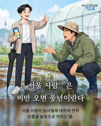 한국어 속담 “서울 사람[놈]은 비만 오면 풍년이란다” 1컷 일러스트