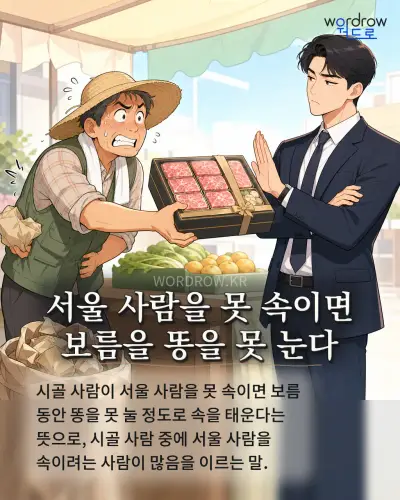 한국어 속담 “서울 사람을 못 속이면 보름을 똥을 못 눈다”를 한 장면으로 담은 1컷 일러스트