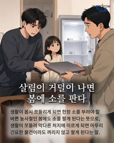 한국어 속담 “살림이 거덜이 나면 봄에 소를 판다” 1컷 일러스트