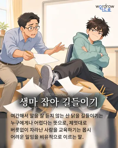한국어 속담 “생마 잡아 길들이기” 1컷 일러스트