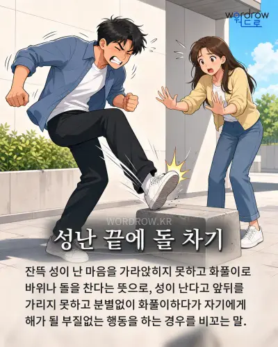 한국어 속담 “성난 끝에 돌 차기” 1컷 일러스트