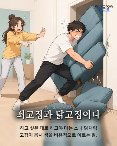 한국어 속담 “쇠고집과 닭고집이다” 1컷 일러스트