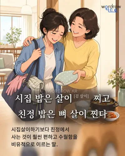한국어 속담 “시집 밥은 살이[겉 살이] 찌고 친정 밥은 뼈 살이 찐다” 1컷 일러스트