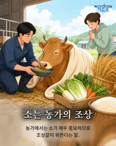 한국어 속담 “소는 농가의 조상” 1컷 일러스트
