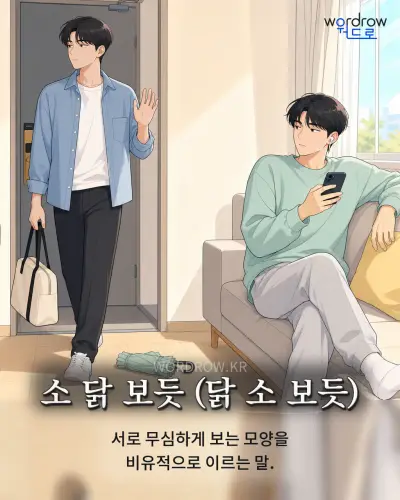 한국어 속담 “소 닭 보듯 (닭 소 보듯)” 1컷 일러스트