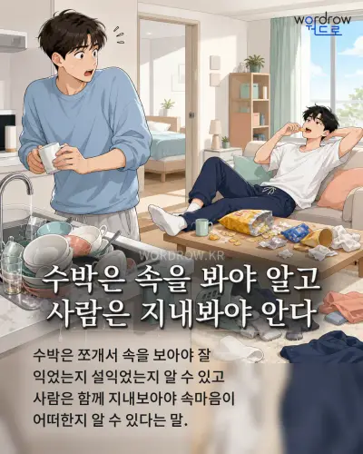 한국어 속담 “수박은 속을 봐야 알고 사람은 지내봐야 안다”를 한 장면으로 담은 1컷 일러스트