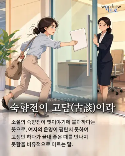 한국어 속담 “숙향전이 고담이라”를 한 장면으로 담은 1컷 일러스트