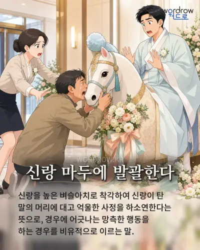 한국어 속담 “신랑 마두에 발괄한다” 1컷 일러스트