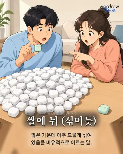 한국어 속담 “쌀에 뉘 (섞이듯)” 1컷 일러스트