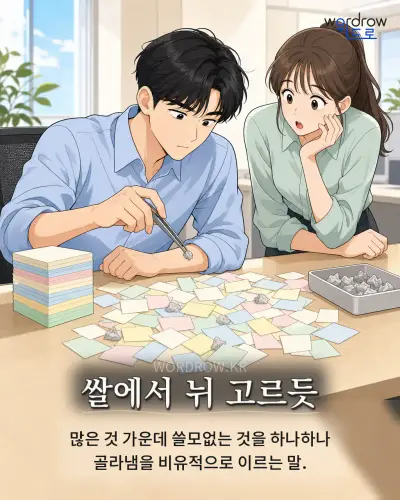 한국어 속담 “쌀에서 뉘 고르듯” 1컷 일러스트