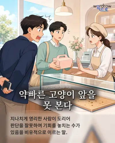 한국어 속담 “약빠른 고양이 앞을 못 본다” 1컷 일러스트
