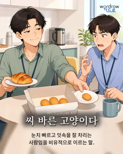 한국어 속담 “씨 바른 고양이다” 1컷 일러스트