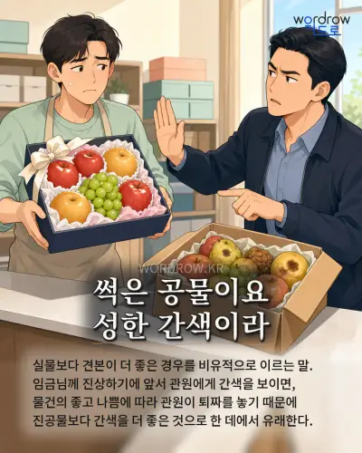 한국어 속담 “썩은 공물이요 성한 간색이라” 1컷 일러스트