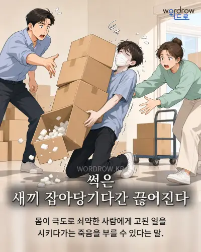 한국어 속담 “썩은 새끼 잡아당기다간 끊어진다” 1컷 일러스트