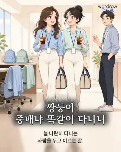 한국어 속담 “쌍둥이 중매냐 똑같이 다니니” 1컷 일러스트