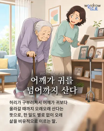 한국어 속담 “어깨가 귀를 넘어까지 산다” 1컷 일러스트