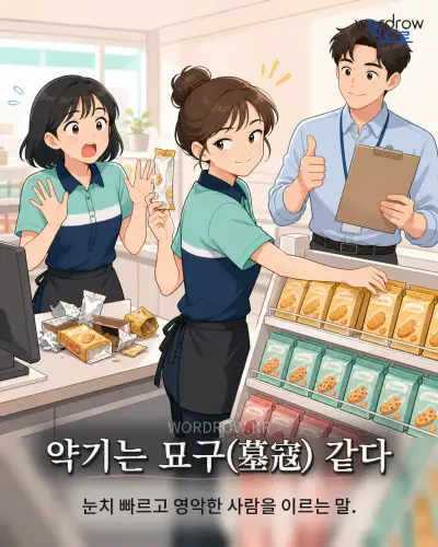 한국어 속담 “약기는 묘구(墓寇) 같다” 1컷 일러스트