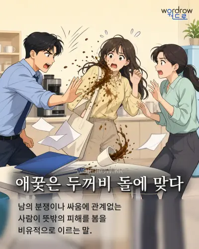한국어 속담 “애꿎은 두꺼비 돌에 맞다” 1컷 일러스트