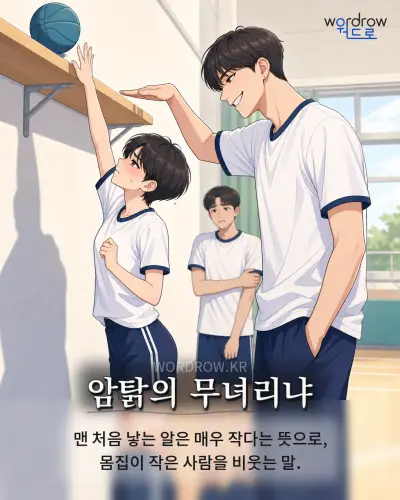 한국어 속담 “암탉의 무녀리냐”를 한 장면으로 담은 1컷 일러스트