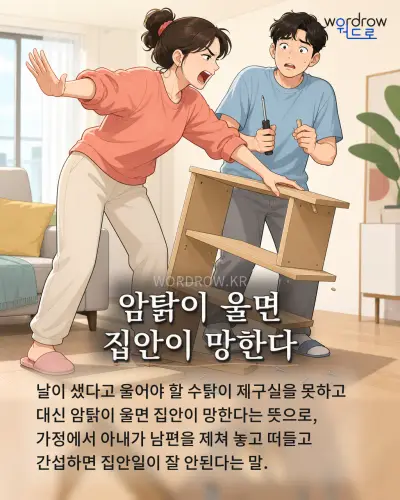 한국어 속담 “암탉이 울면 집안이 망한다” 1컷 일러스트