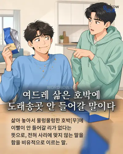 한국어 속담 “여드레 삶은 호박에 도래송곳 안 들어갈 말이다” 1컷 일러스트