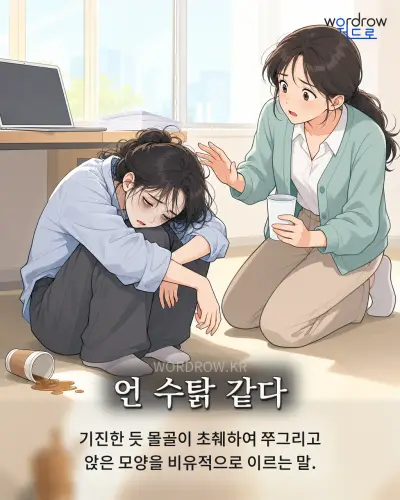 한국어 속담 “언 수탉 같다” 1컷 일러스트