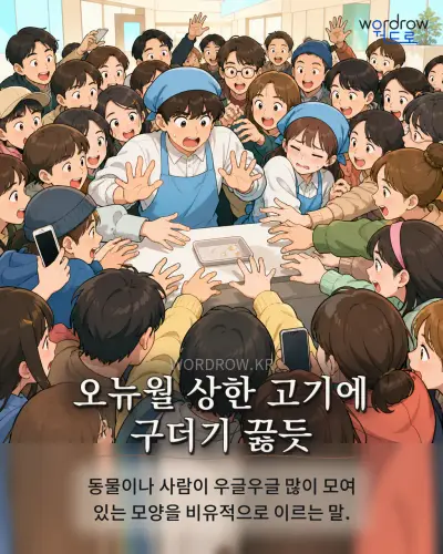 한국어 속담 “오뉴월 상한 고기에 구더기 끓듯” 1컷 일러스트
