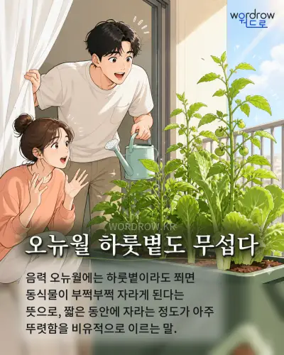 한국어 속담 “오뉴월 하룻볕도 무섭다” 1컷 일러스트