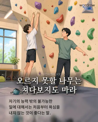 한국어 속담 “오르지 못할 나무는 쳐다보지도 마라” 1컷 일러스트