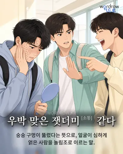 한국어 속담 “우박 맞은 잿더미[소똥] 같다” 1컷 일러스트