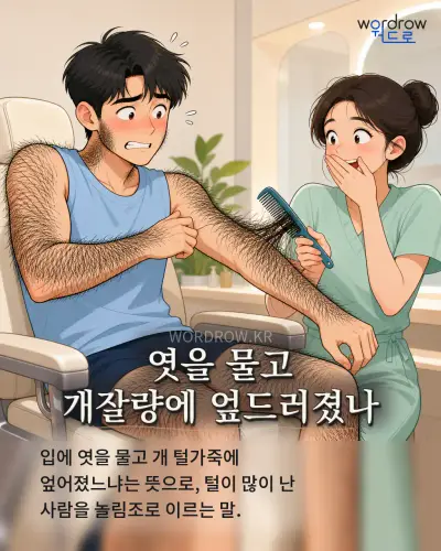 한국어 속담 “엿을 물고 개잘량에 엎드러졌나”를 한 장면으로 담은 1컷 일러스트