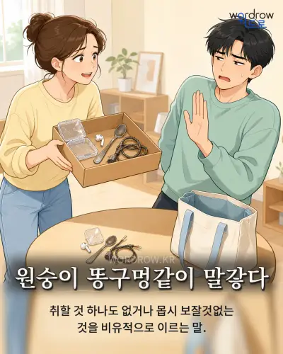 한국어 속담 “원숭이 똥구멍같이 말갛다” 1컷 일러스트